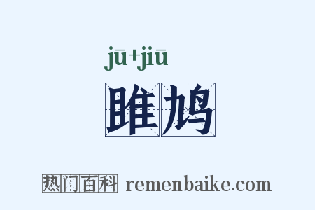 雎鸠是什么意思的图片